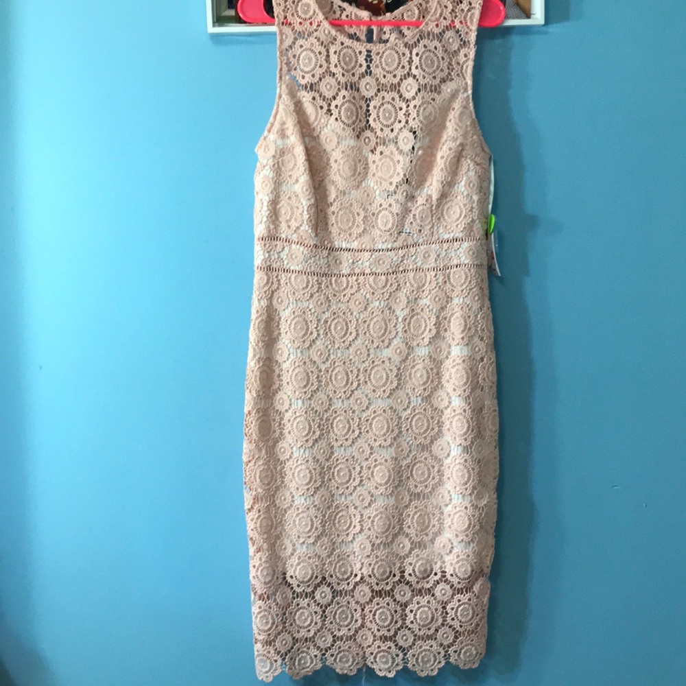 Nude Pink Lace Dress